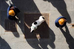 A dog between two children