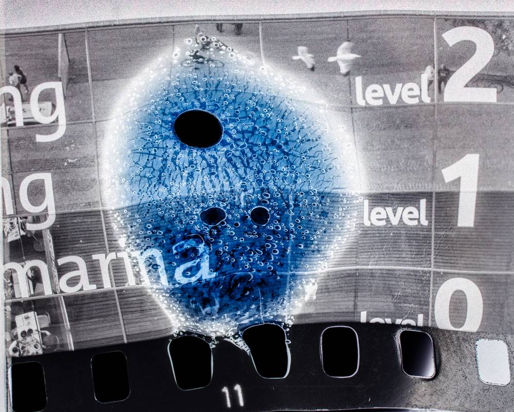 Modified black and white film