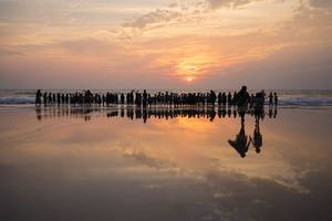 Sillhouettes reflected in front of the sunset